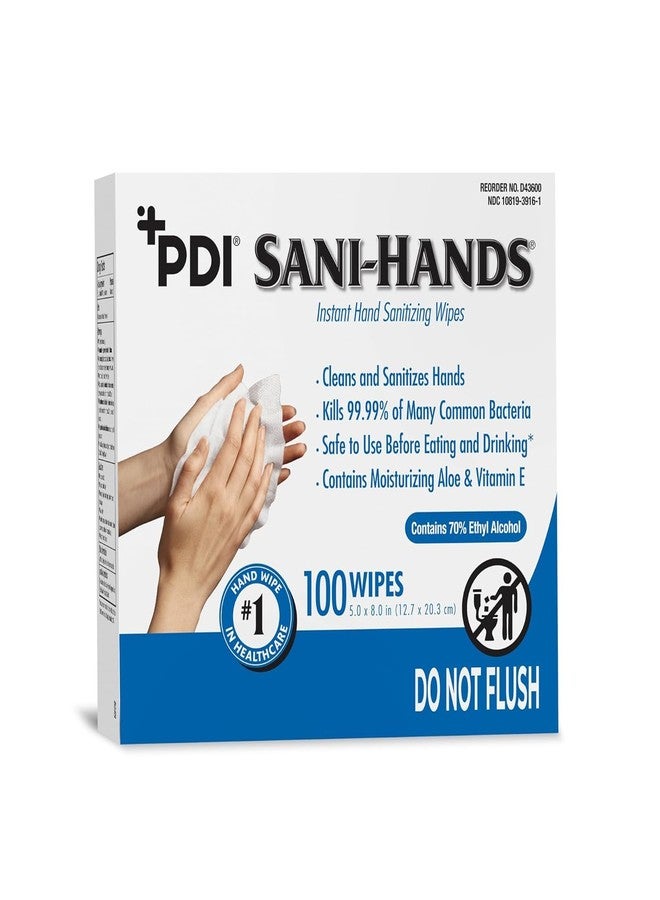 Sani-Hands Hand Sanitizer Wipes, Ethyl Alcohol Wipes Individually Wrapped with Aloe and Vitamin E, Hand Sanitizer Travel, Home, Outdoor Use, 5 in x 8 in, 100 Wipes, 1 Pack